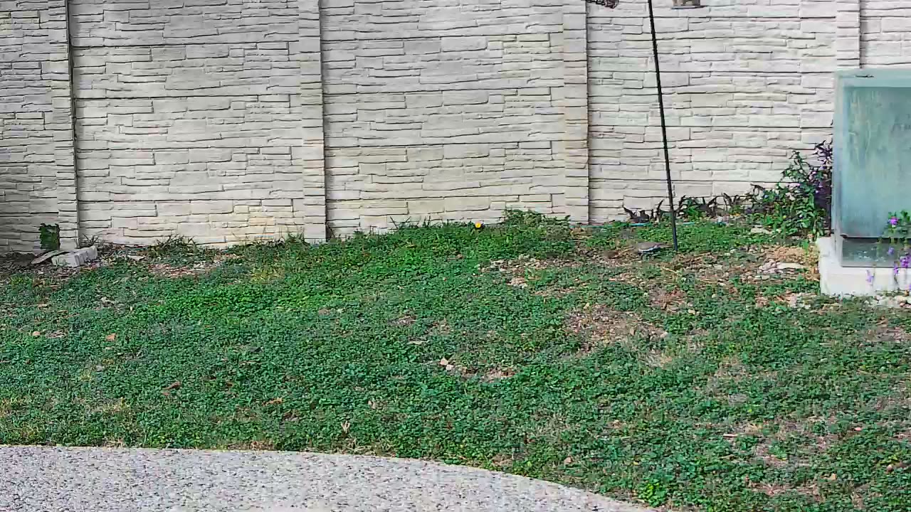 🐾 Unclassified Fauna sighting on The Panoramic Overlook, 2026-10-28 11:01:23