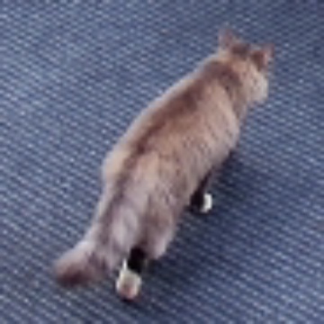 🐈 Feline sighting on The Charcoal Commons, 2026-10-28 12:44:58
