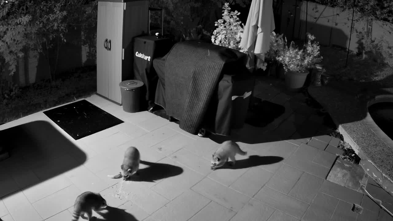 LATER · 11:30 PM, from the camera's recording
