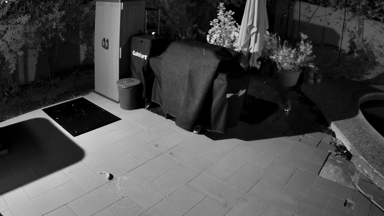 THE RETURN · 12:15 AM, from the camera's recording