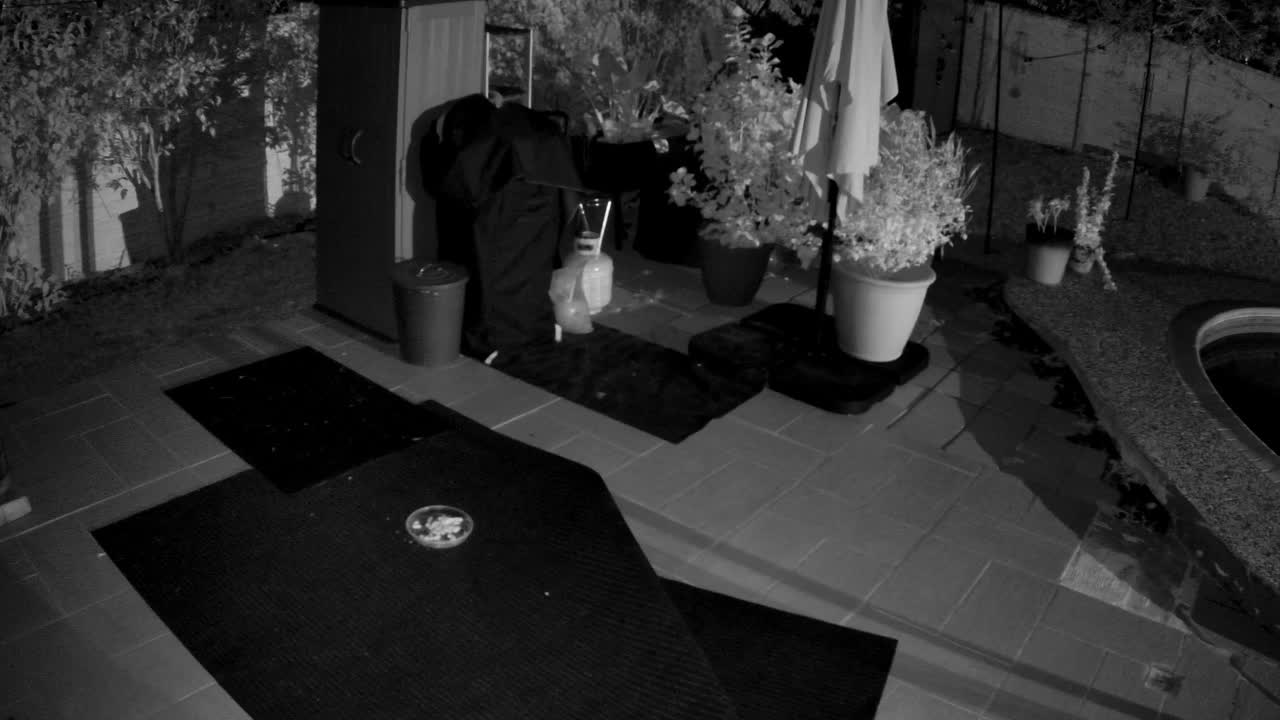 ARRIVAL · 3:31 AM, from the camera's recording