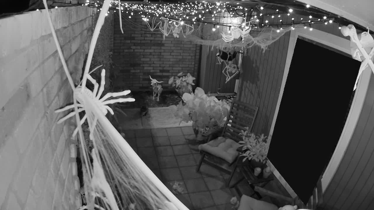 ARRIVAL · 2:43 AM, from the camera's recording