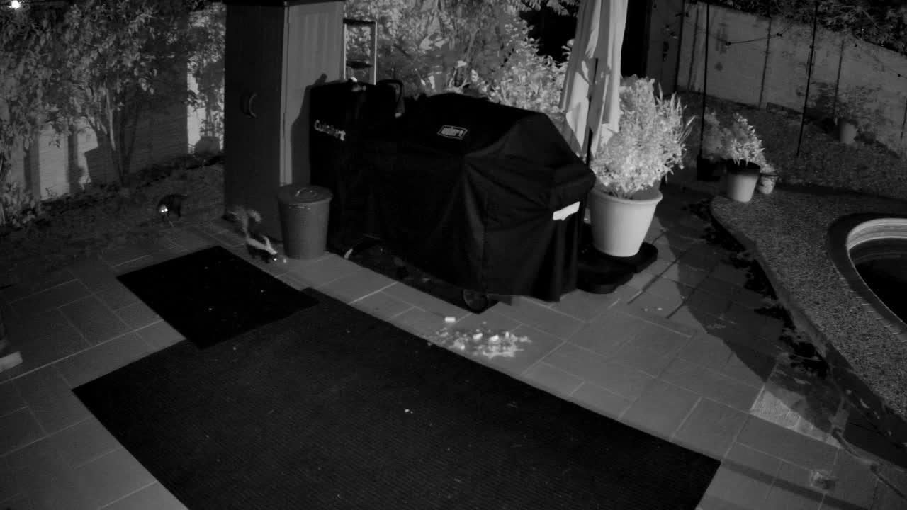ARRIVAL · 12:31 AM, from the camera's recording