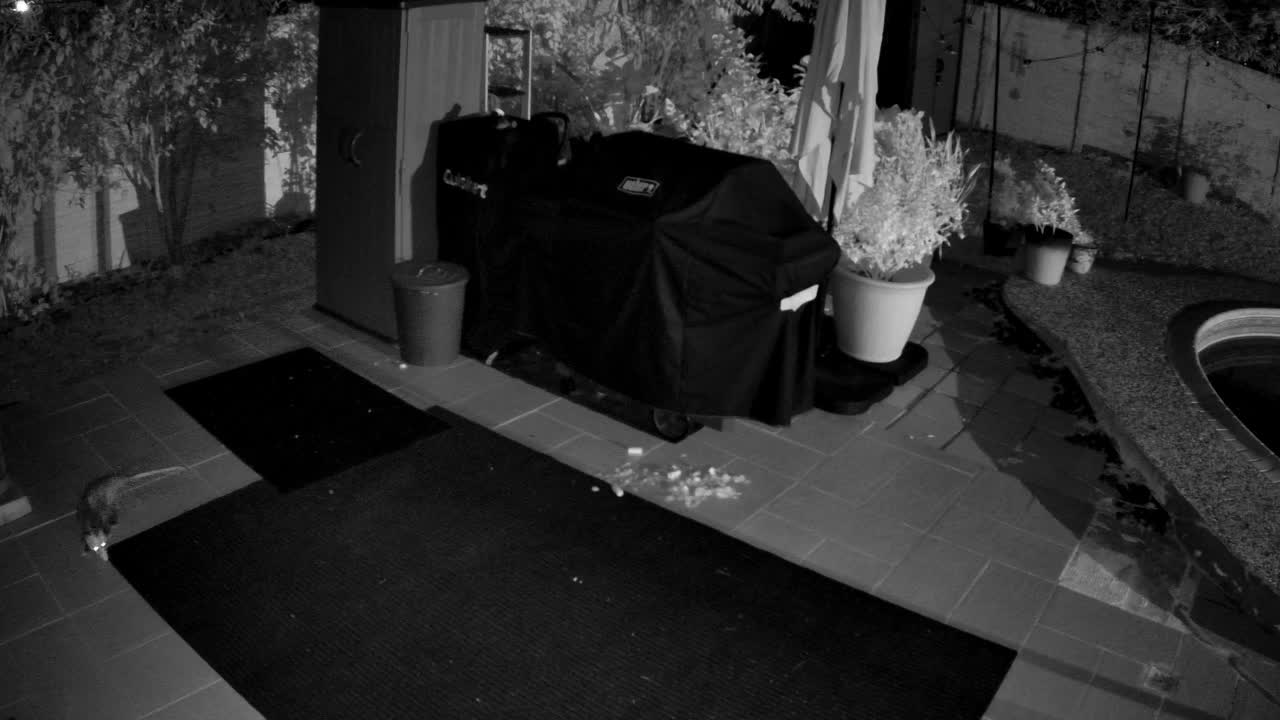 A RIVAL · 12:33 AM, from the camera's recording
