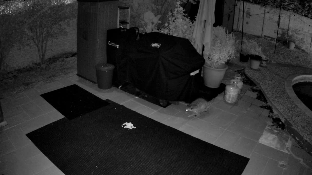 ARRIVAL · 1:49 AM, from the camera's recording