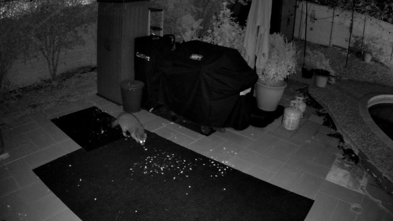 THE RETURN · 4:07 AM, from the camera's recording