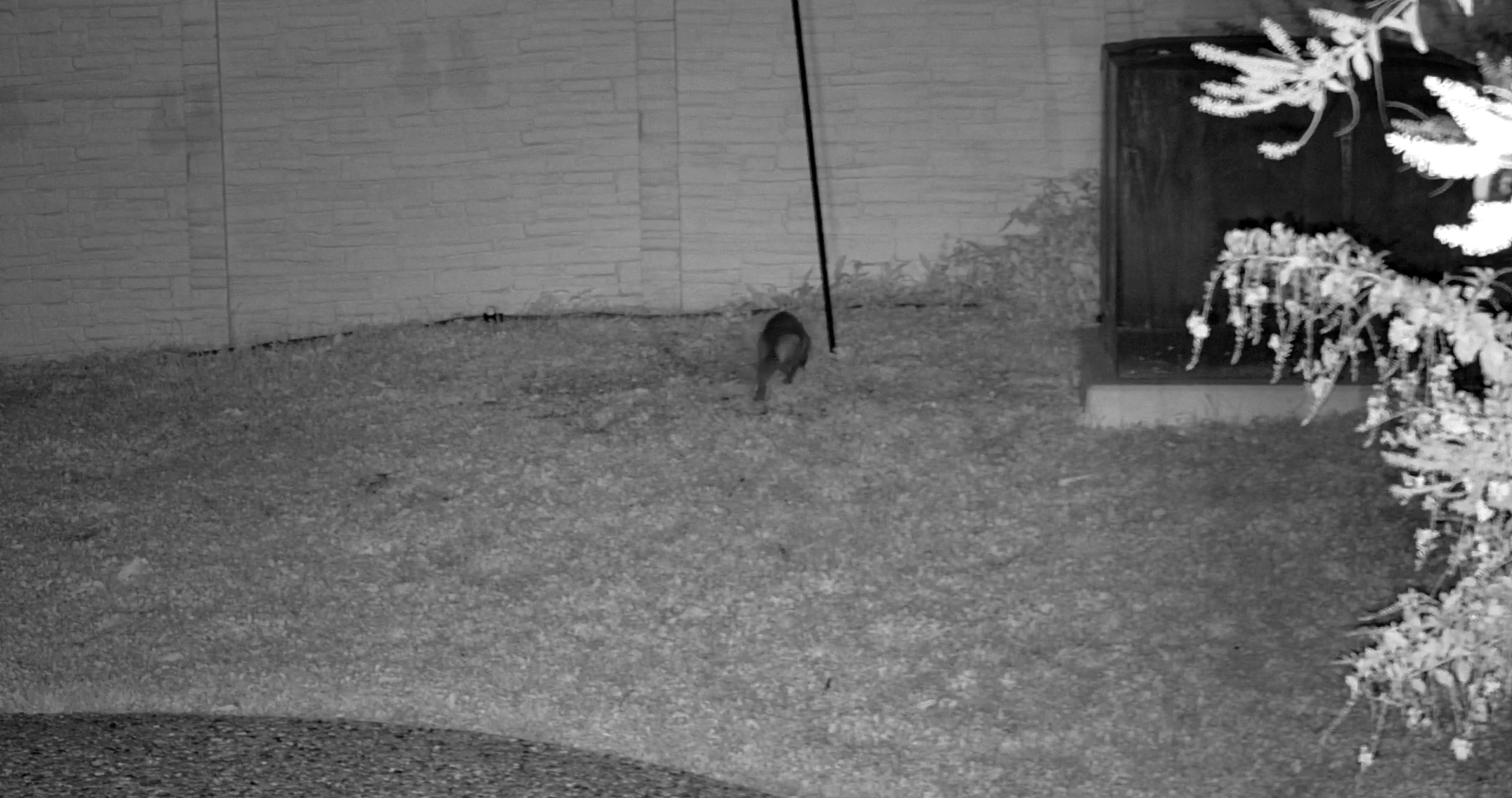 Boundary Inspection