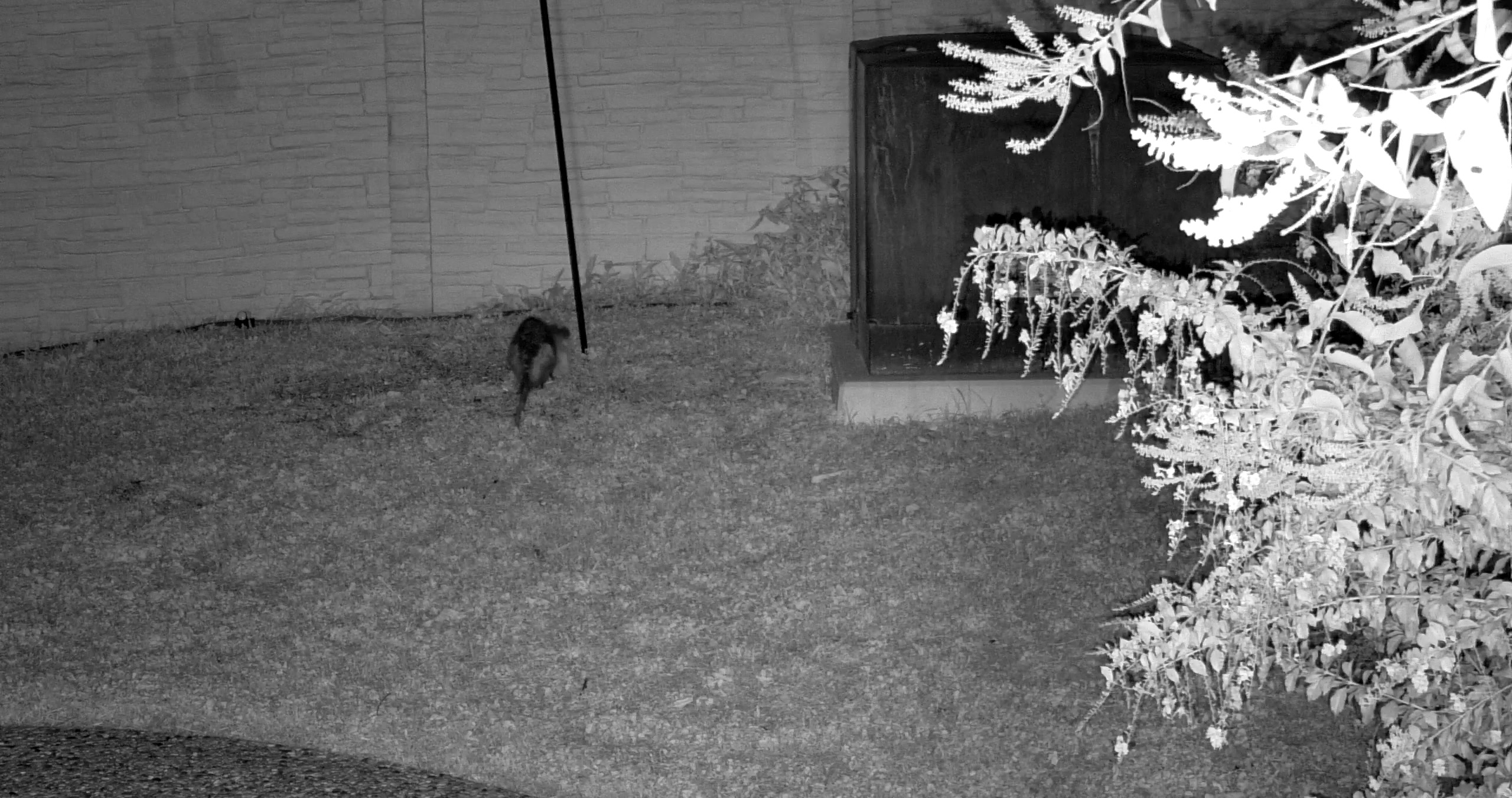 Active Foraging