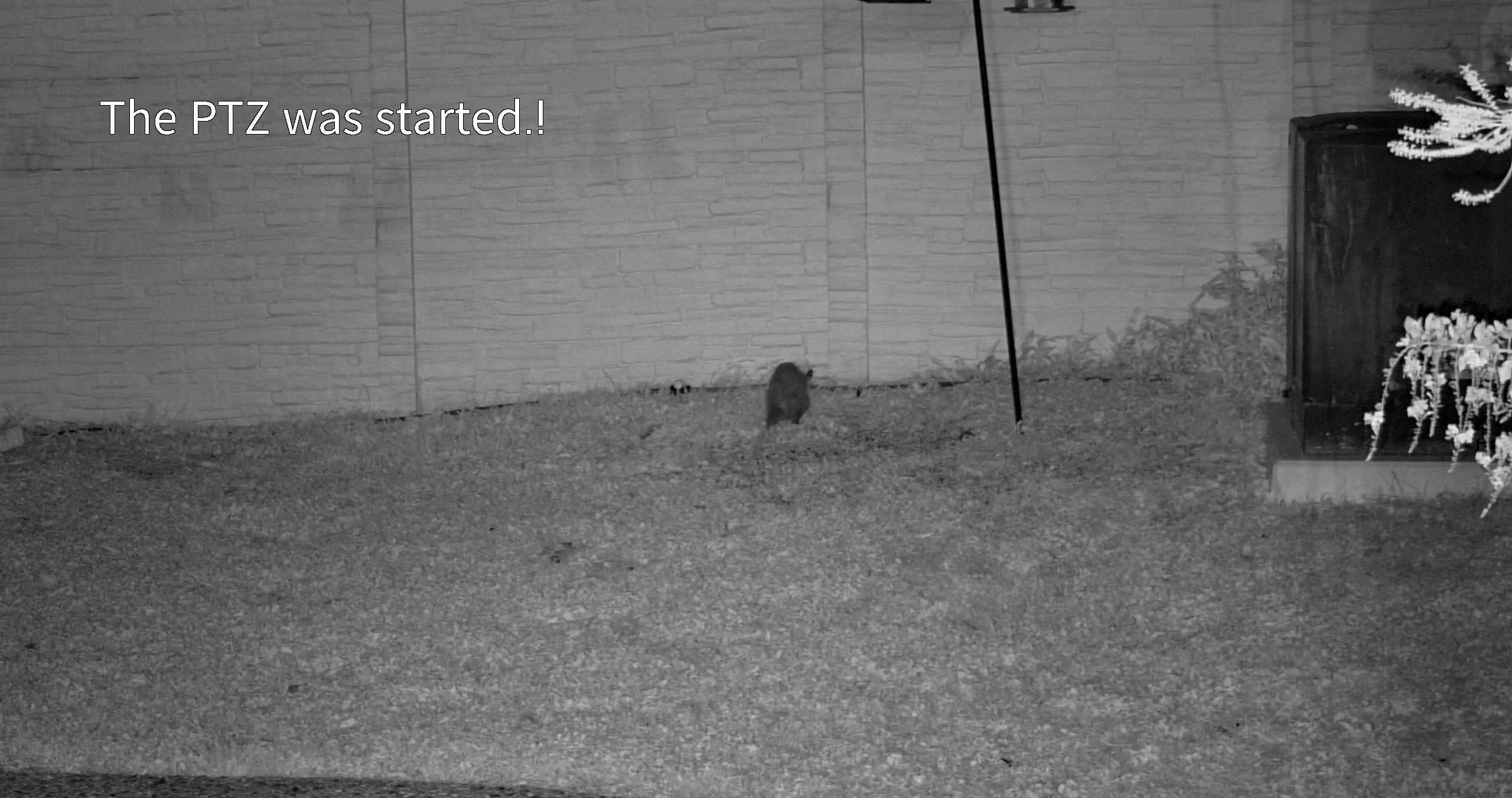 Active Foraging