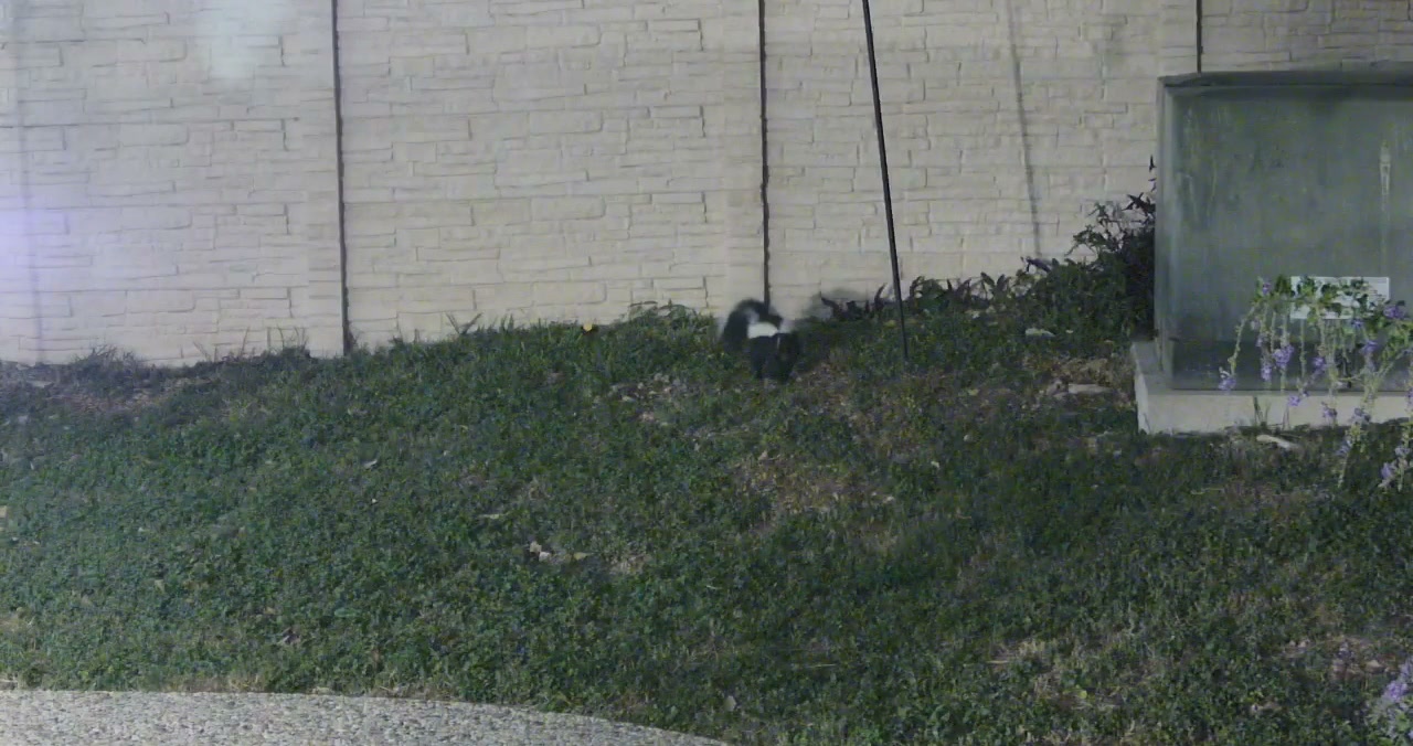 Active Foraging